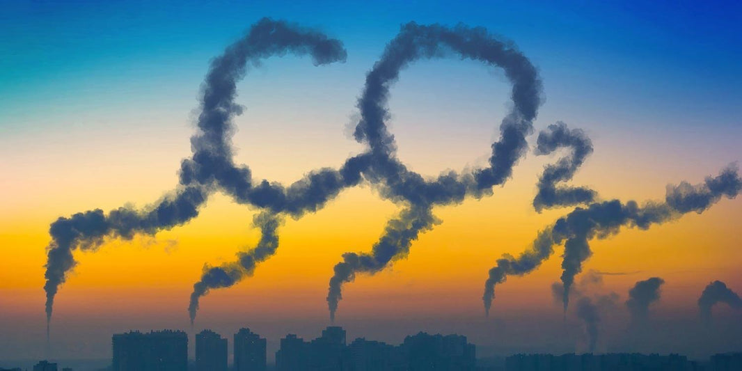 CO2-Bilanz verbessern trotz Konsum - Engelmann Software