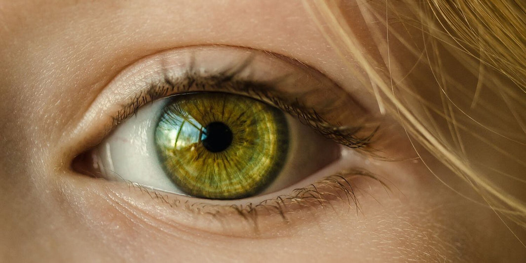 Die Macht des Blicks: Ein Leitfaden zum Fotografieren von Augen - Engelmann Software
