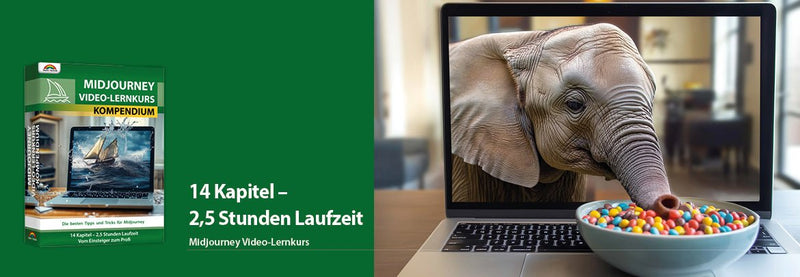 Midjourney Video Lernkurs Kompendium (Deutsch) - Engelmann Software